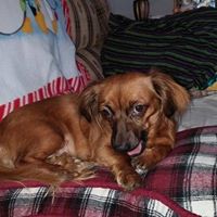 Heidi Hendricks Photo 17