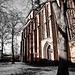 Mark Michaelis Photo 16