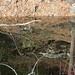 Virginia Fitzpatrick Photo 12