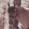 Ruby King Photo 10