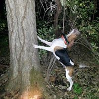 Andrew Rhoads Photo 16