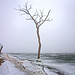 Robbin Lawrence Photo 10