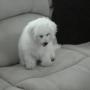 Terri Flynn Photo 21