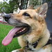Jerry Shepherd Photo 27