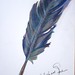 Arlene Steinberg Photo 14