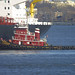 Charles Trout Photo 26