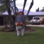 Brad Piper Photo 12