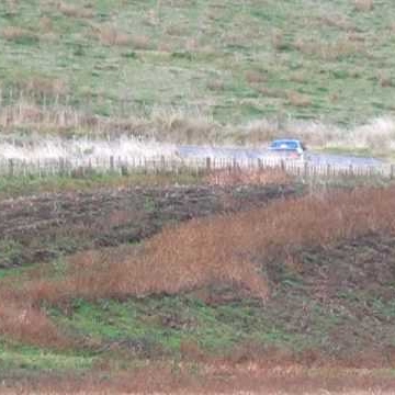 Allan Carter Photo 5