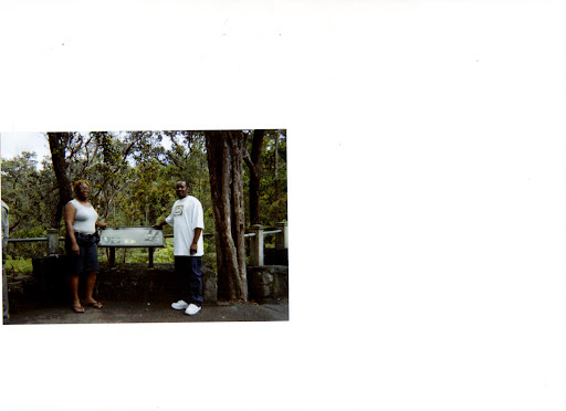Sharon Tilton Photo 11