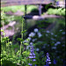 Kelvin Bell Photo 29