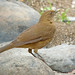 Robin Lux Photo 9