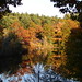 Todd Bradford Photo 19