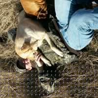 Lori Crenshaw Photo 6
