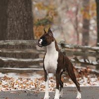 Gail Schneider Photo 13