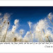 Christian Word Photo 17