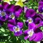 Cathryn Miller Photo 22