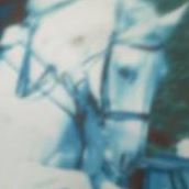 Debbie Murphy Photo 7