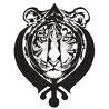 Sanjay Singh Photo 43