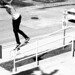 Michael Schaffer Photo 19