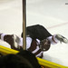 Jack Foreman Photo 6