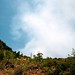 Jerome Forest Photo 8