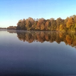 Mark Covey Photo 15