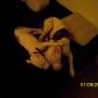 Denise Lyles Photo 12