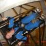 Traci Johnson Photo 14