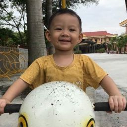 Viet Pham Photo 26