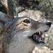 Carl Wiley Photo 22