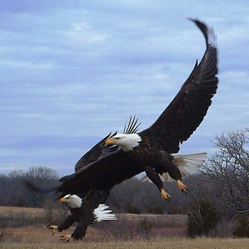 Bill Logsdon Photo 26