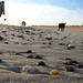 Amy Combs Photo 14
