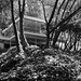 Donald Kaiser Photo 14