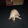 Oscar May Photo 19