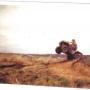 Terry Whitt Photo 11