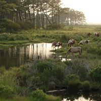 Joseph Evans Photo 32