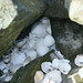 Robert Shell Photo 32