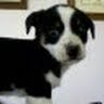 Cindy Buckner Photo 31