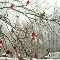 Teresa Withers Photo 26