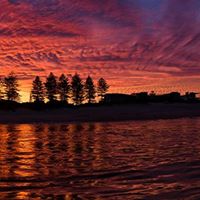 David Forst Photo 23