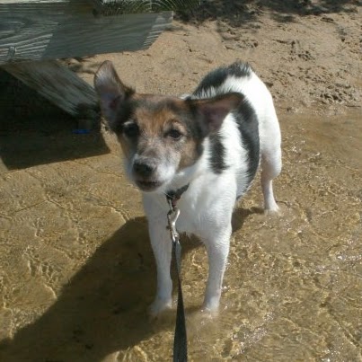 Debbie Wells Photo 8