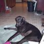 Marsha Carpenter Photo 16