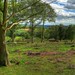 Heather Edge Photo 24