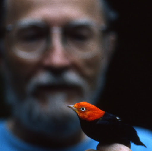 Joseph Sheldon Photo 21