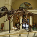 Sue Hendrickson Photo 3