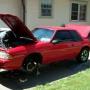 Tony Meeks Photo 29