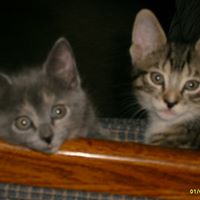 Judith Magee Photo 6