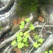 Elizabeth Mulholland Photo 9