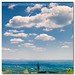 Virginia Love Photo 10