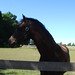 Roberta Marshall Photo 16